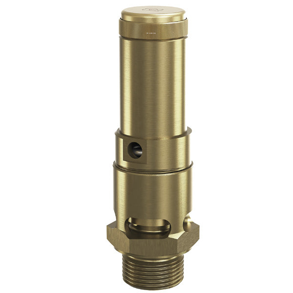 Säkerhetsventil 810-3/8" för luft 12 bar FKM